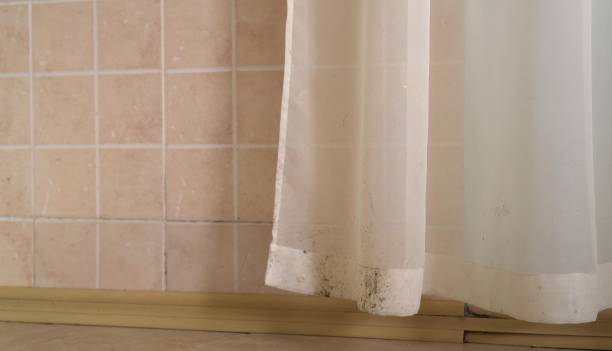 Best Air Quality Testing for Mold Spores  in Grand Junction, CO