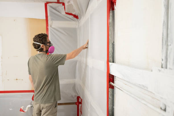 Best Emergency Mold Remediation  in Grand Junction, CO