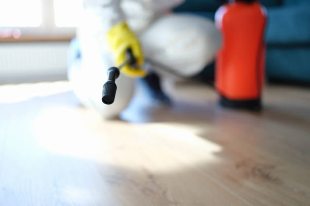 Best Mold Remediation for Healthcare Facilities  in Grand Junction, CO