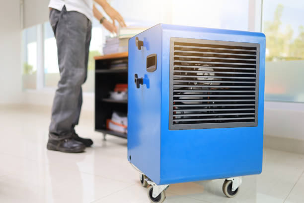 Best Comprehensive Air Testing for Mold Contaminants  in Grand Junction, CO